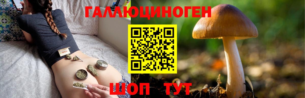 Галлюциногенные грибы ЛСД  Вход с VPN  Псилоцибиновые грибы Magic Shrooms  Бийск 